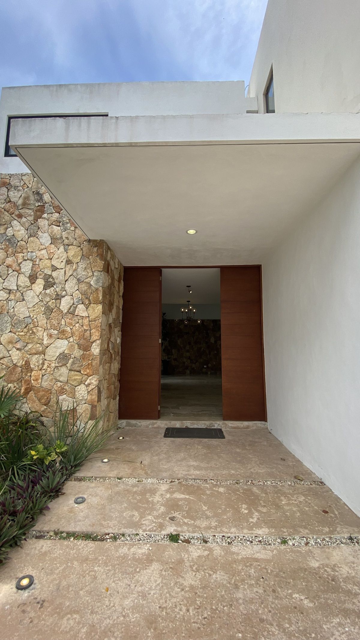 1 de 29: Puerta acceso