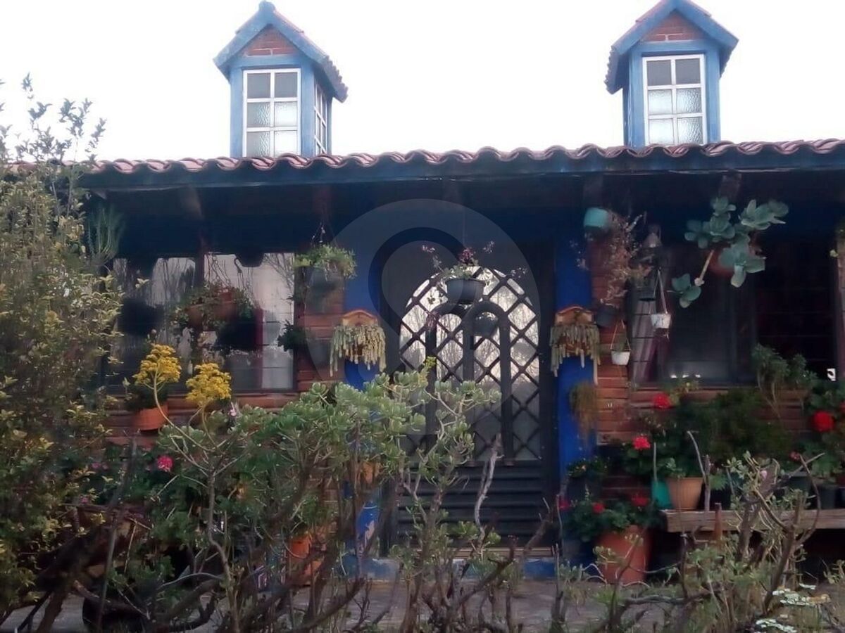 3 de 13