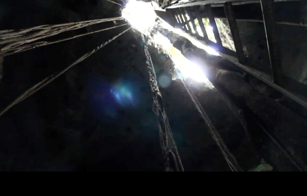 3 de 22: Cenote visto desde adentro