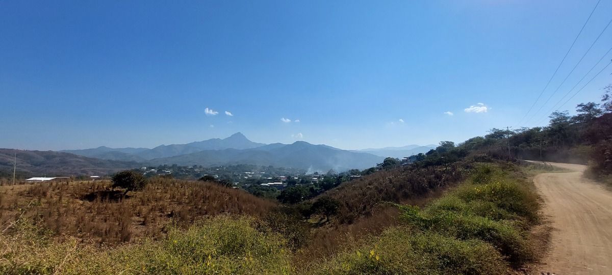 7 de 21