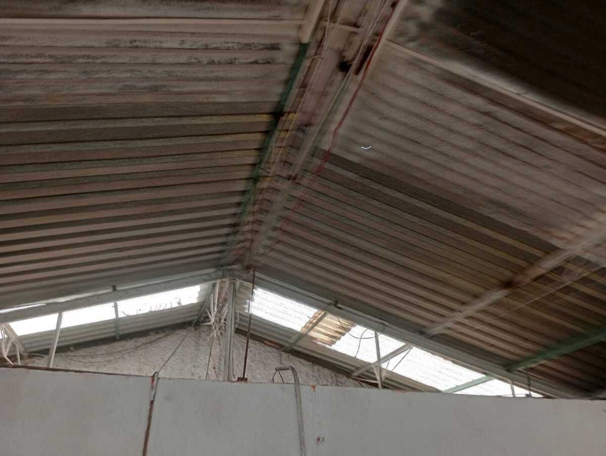 19 de 26