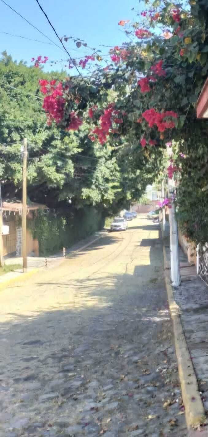 4 de 4