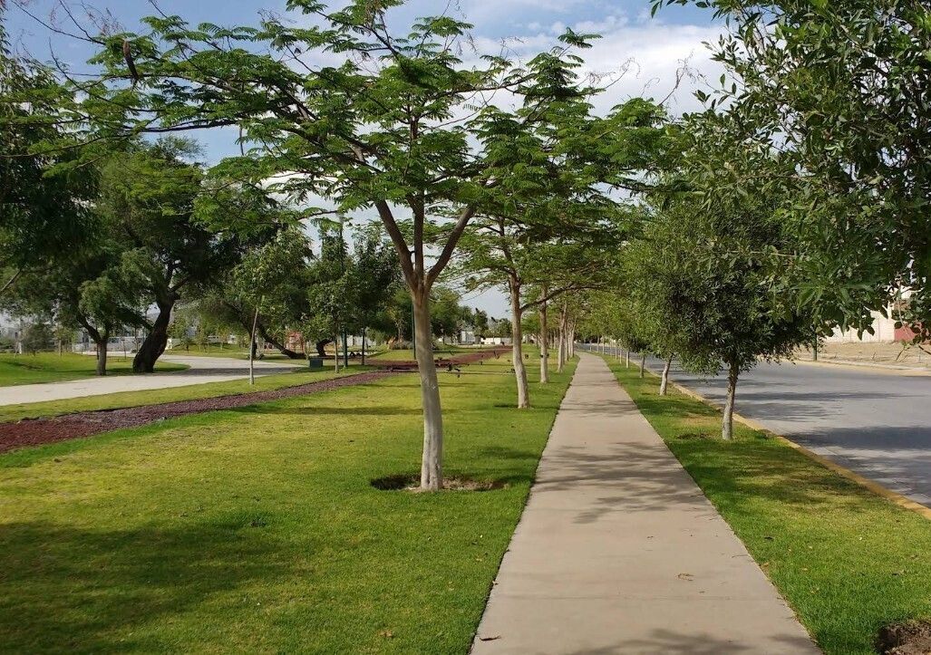 4 of 9: Áreas verdes