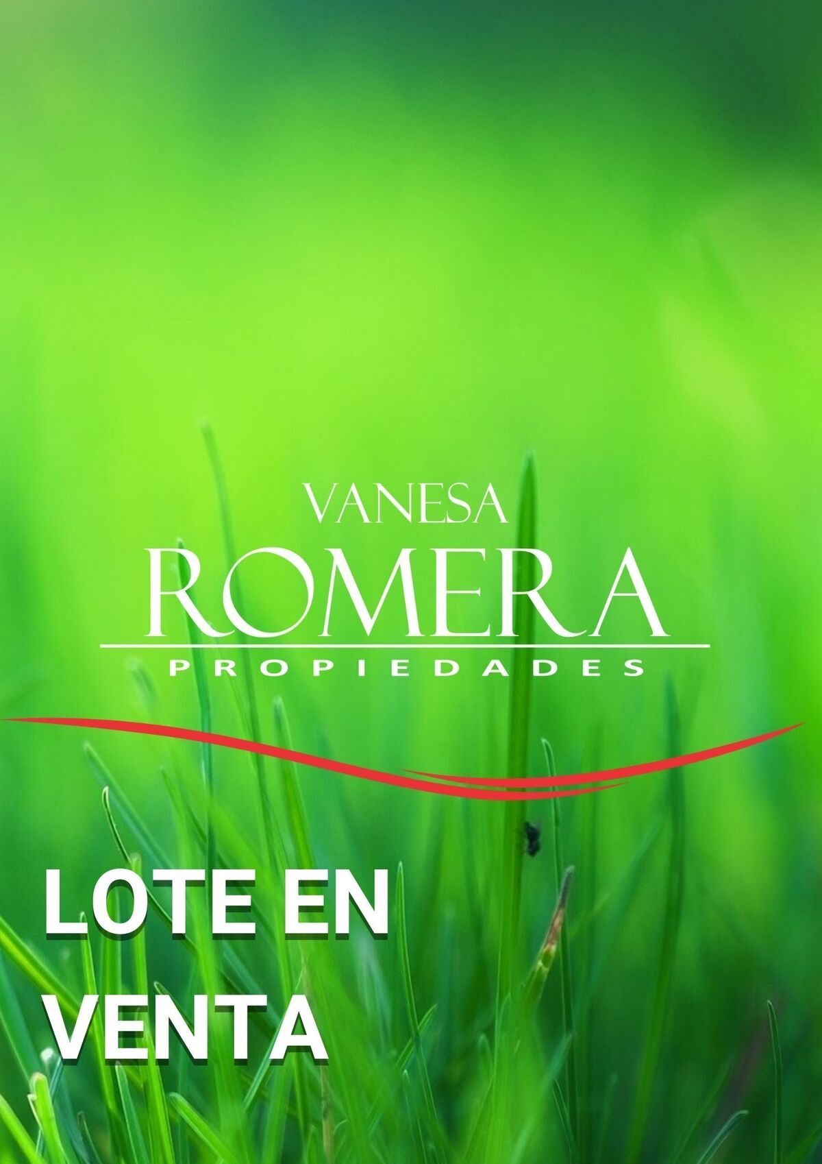 1 de 1