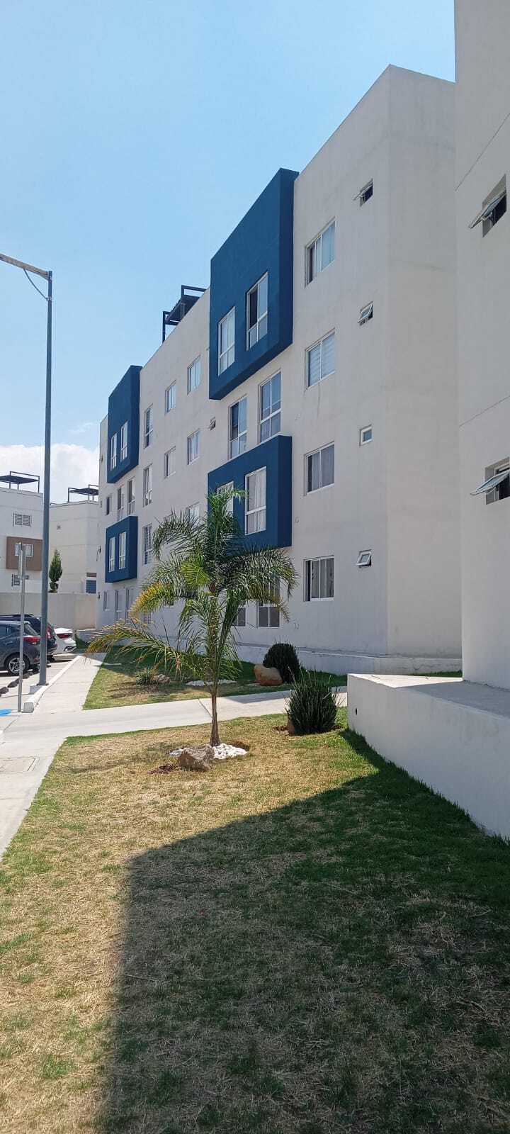 12 de 17