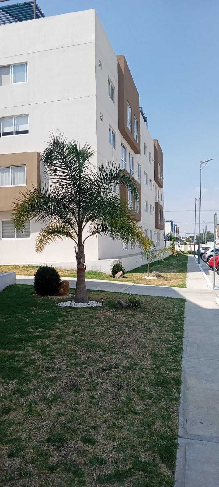 15 de 17
