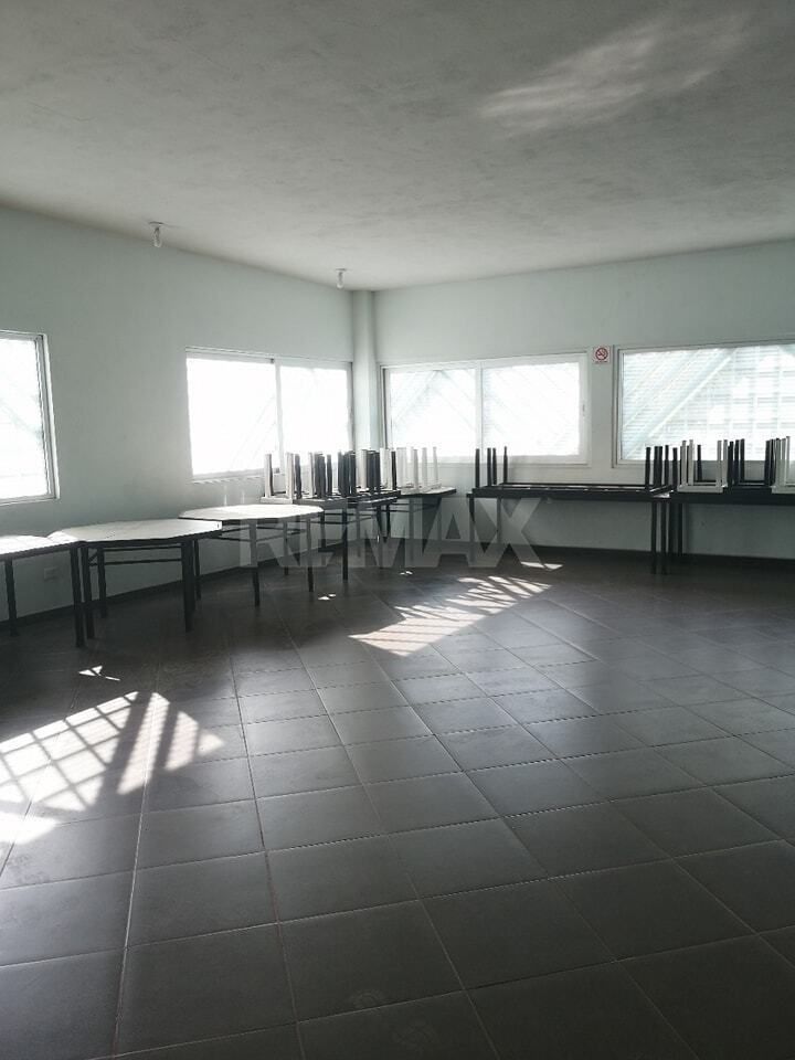 12 de 19