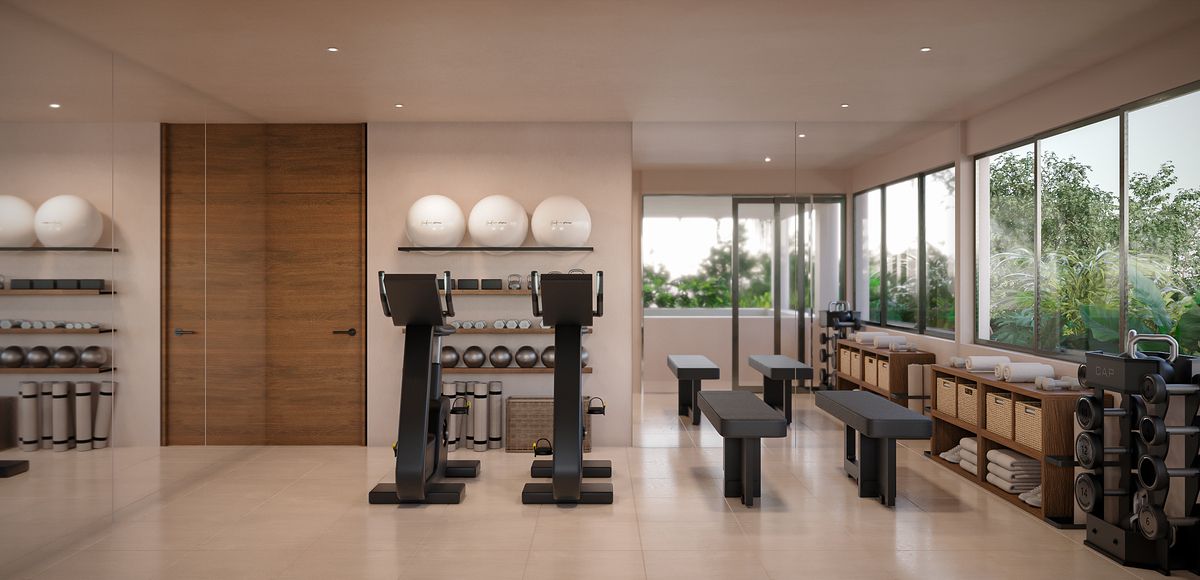8 de 14: Gimnasio