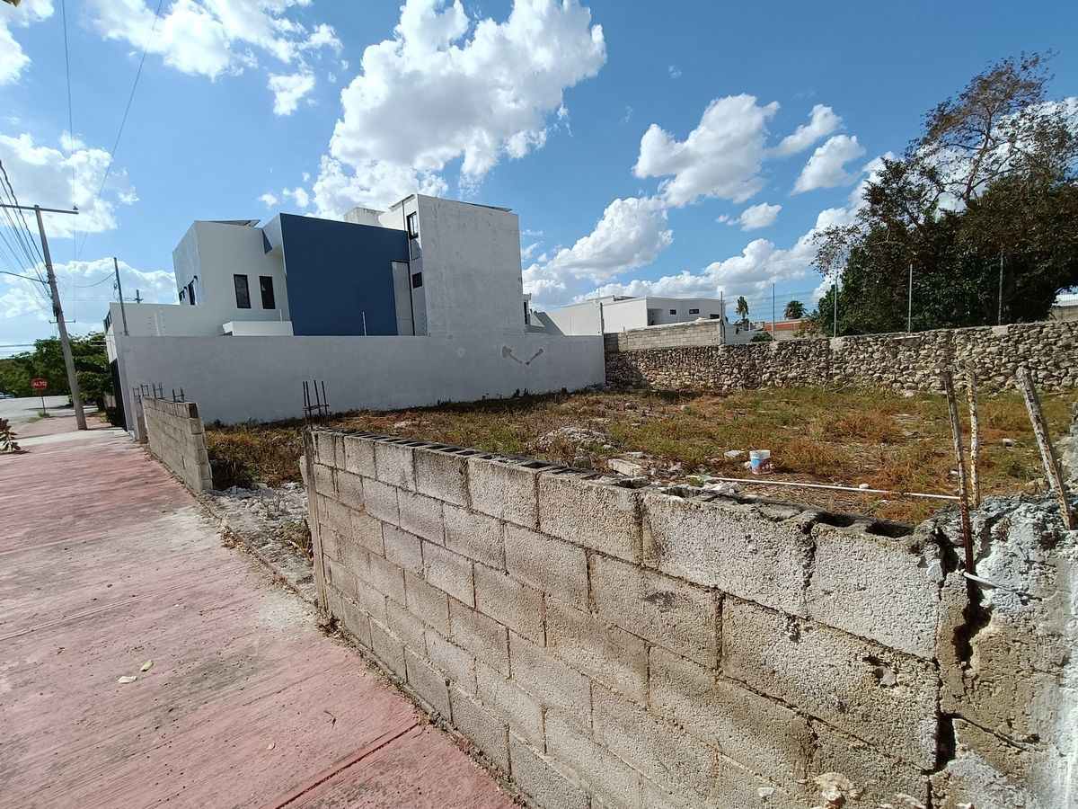 2 de 3