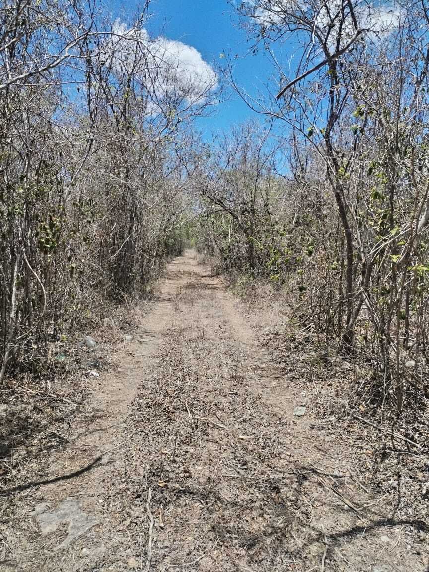 5 de 30: Acceso a terreno