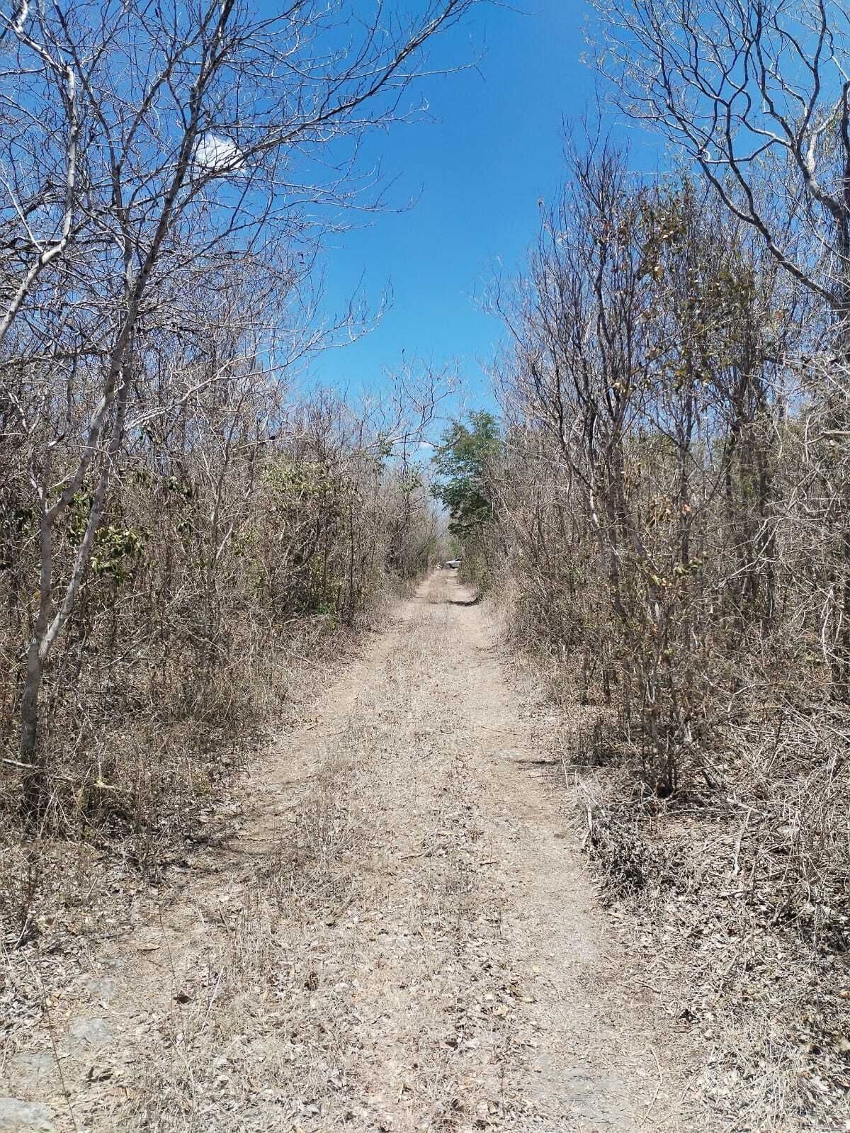 6 de 30: Terreno