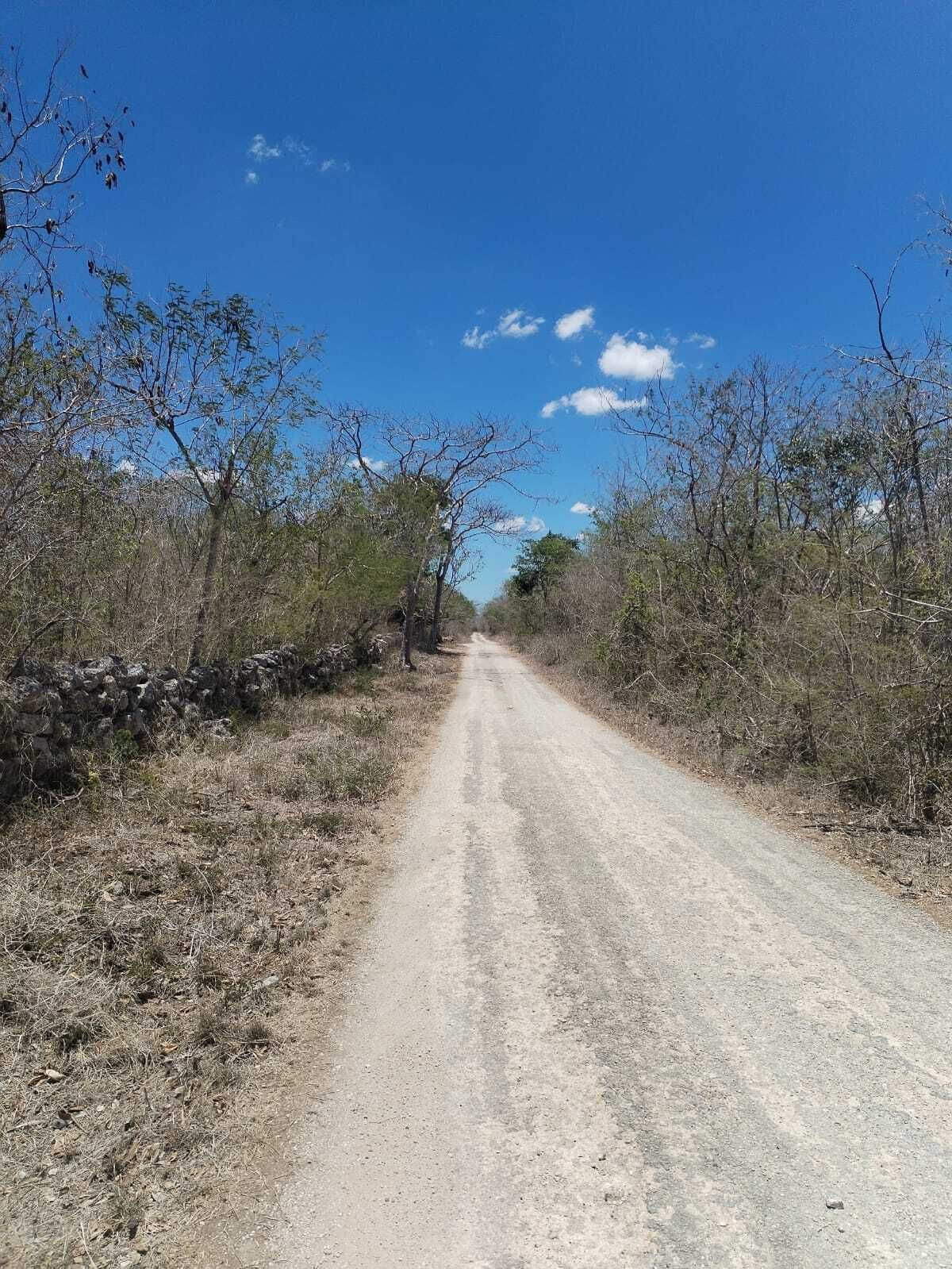 7 de 30: Calle 19
