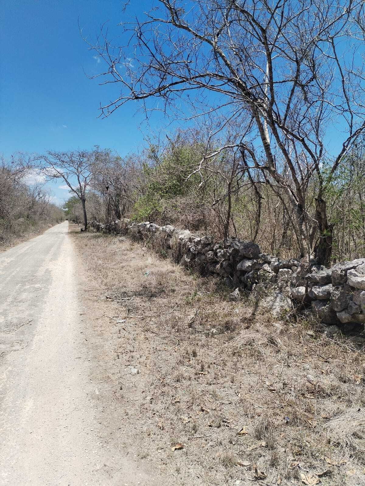 9 de 30