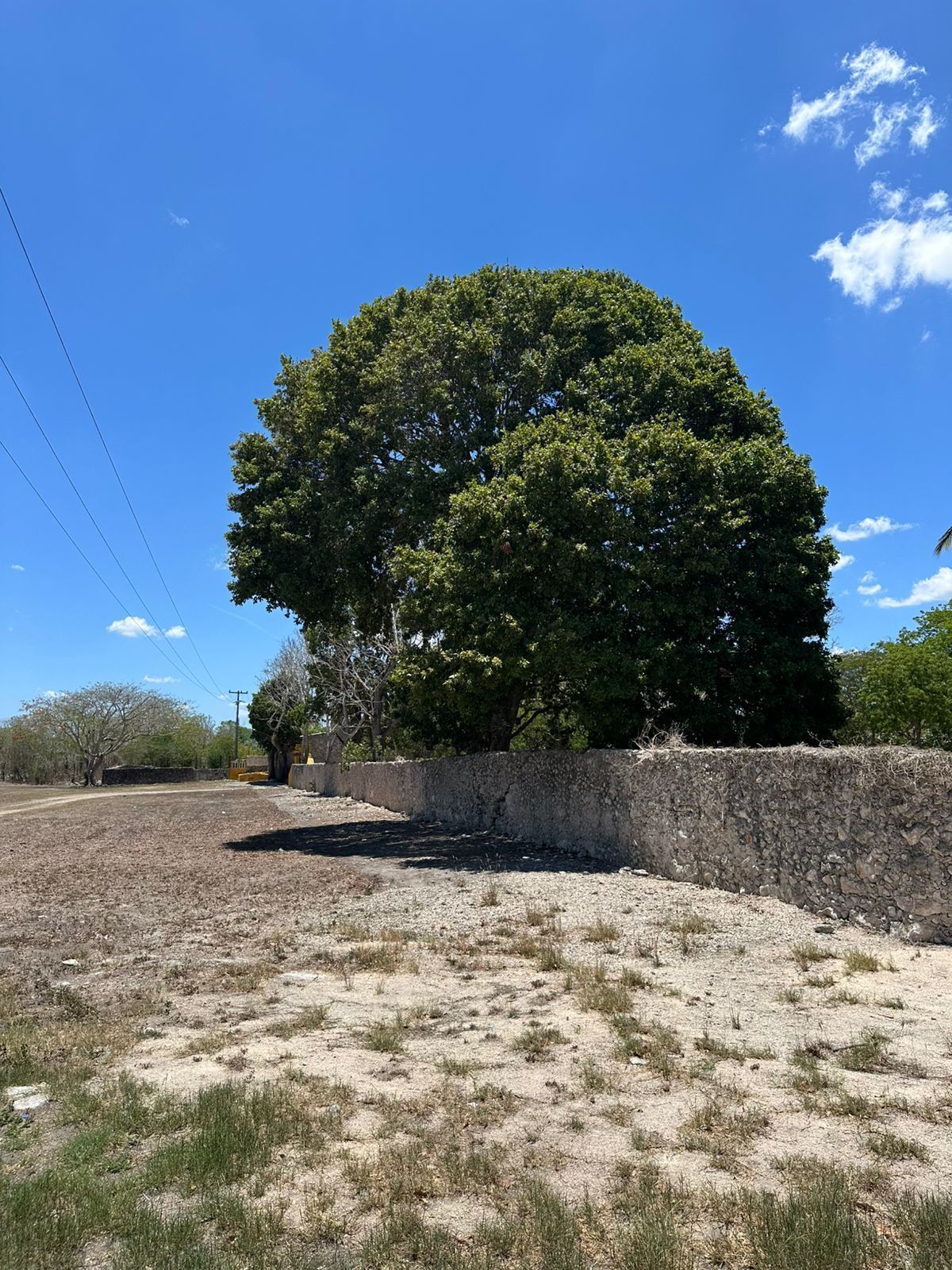 13 de 30: Hacienda