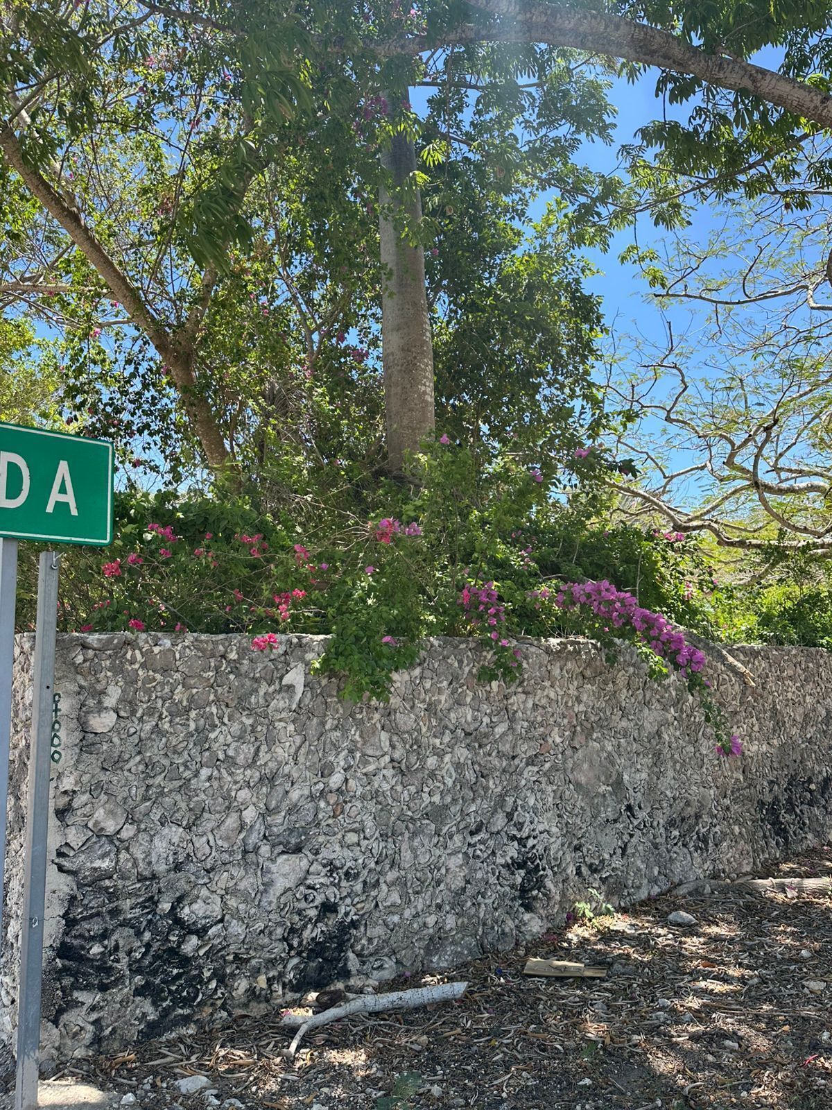 17 de 30: Hacienda