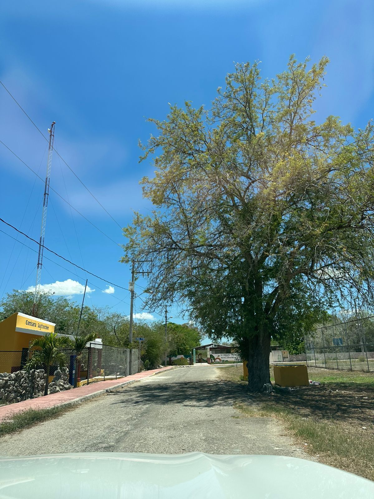 12 de 27