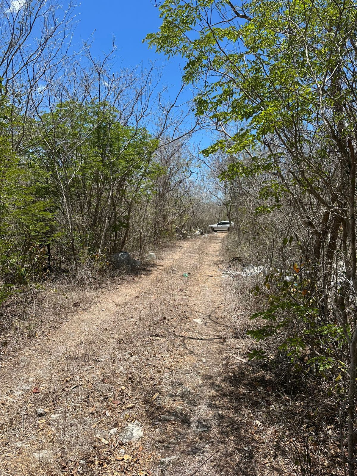 28 de 30: Acceso directo a terreno