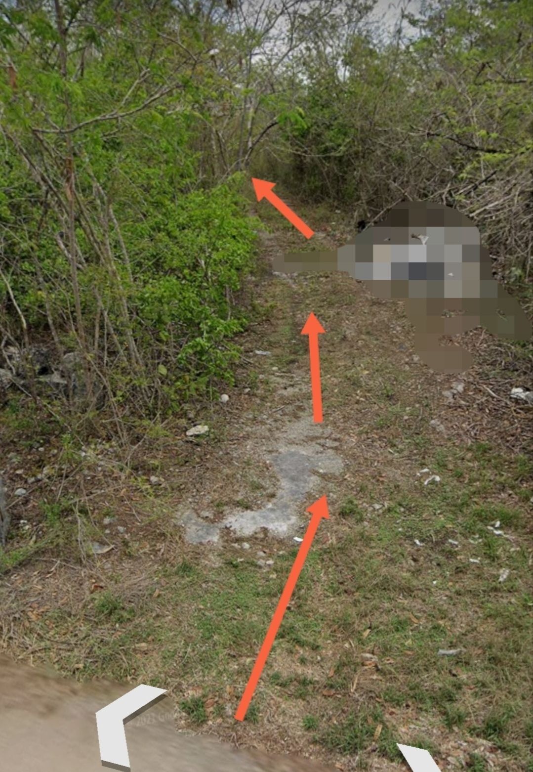 25 de 27: Entrada al terreno
