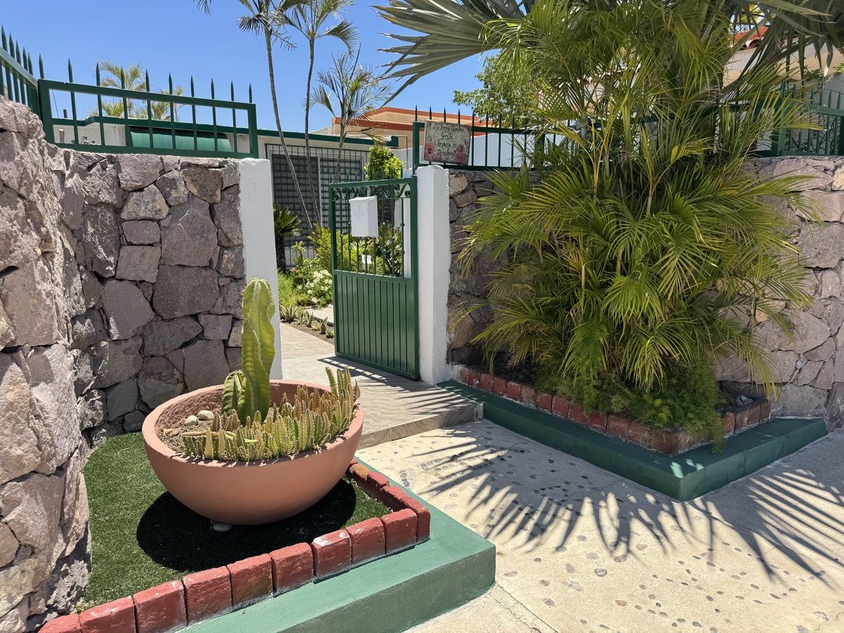 5 of 49: Jardineras por fuera de la casa