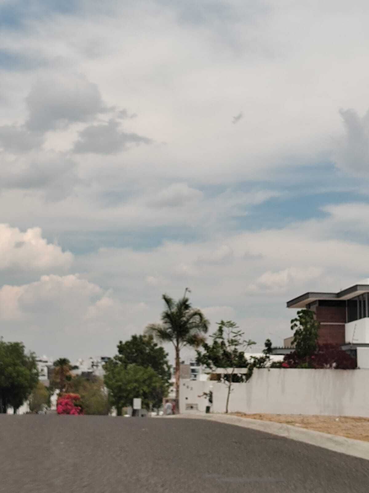 4 de 12