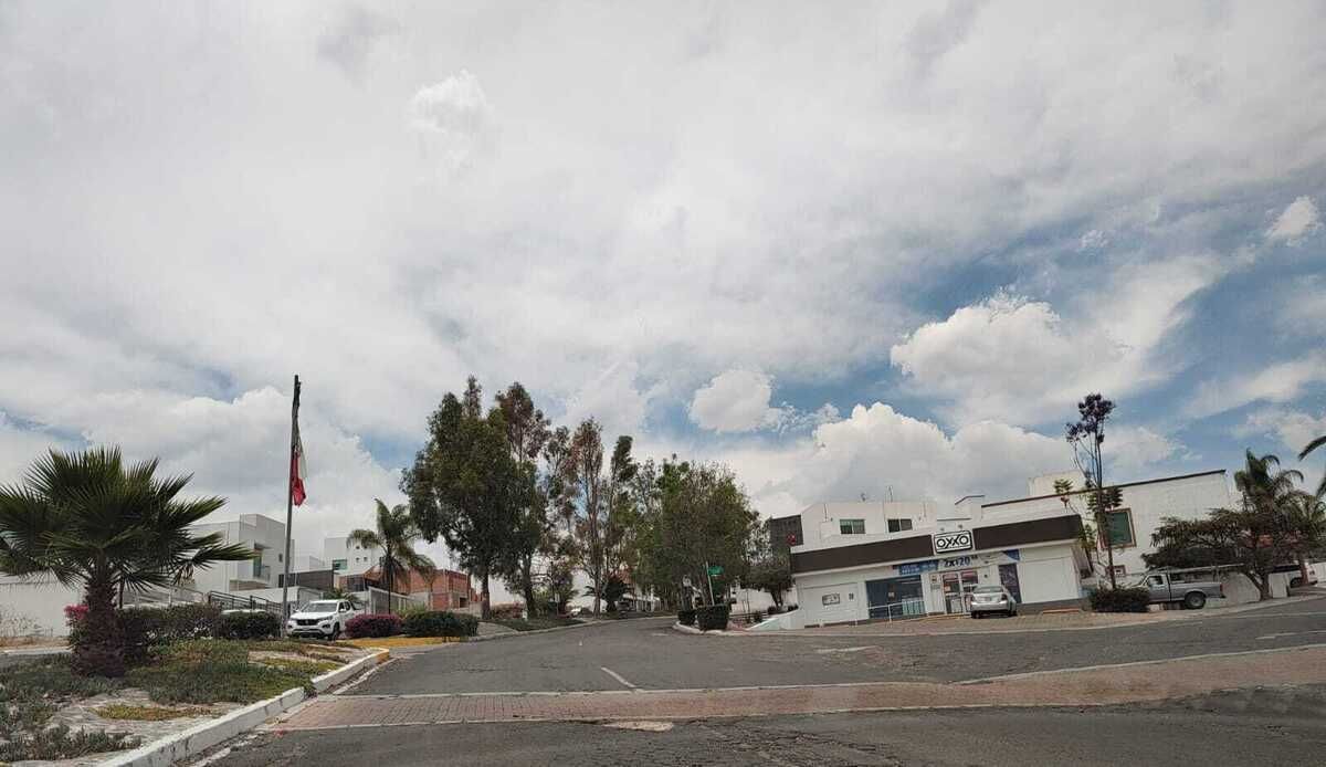 8 de 12