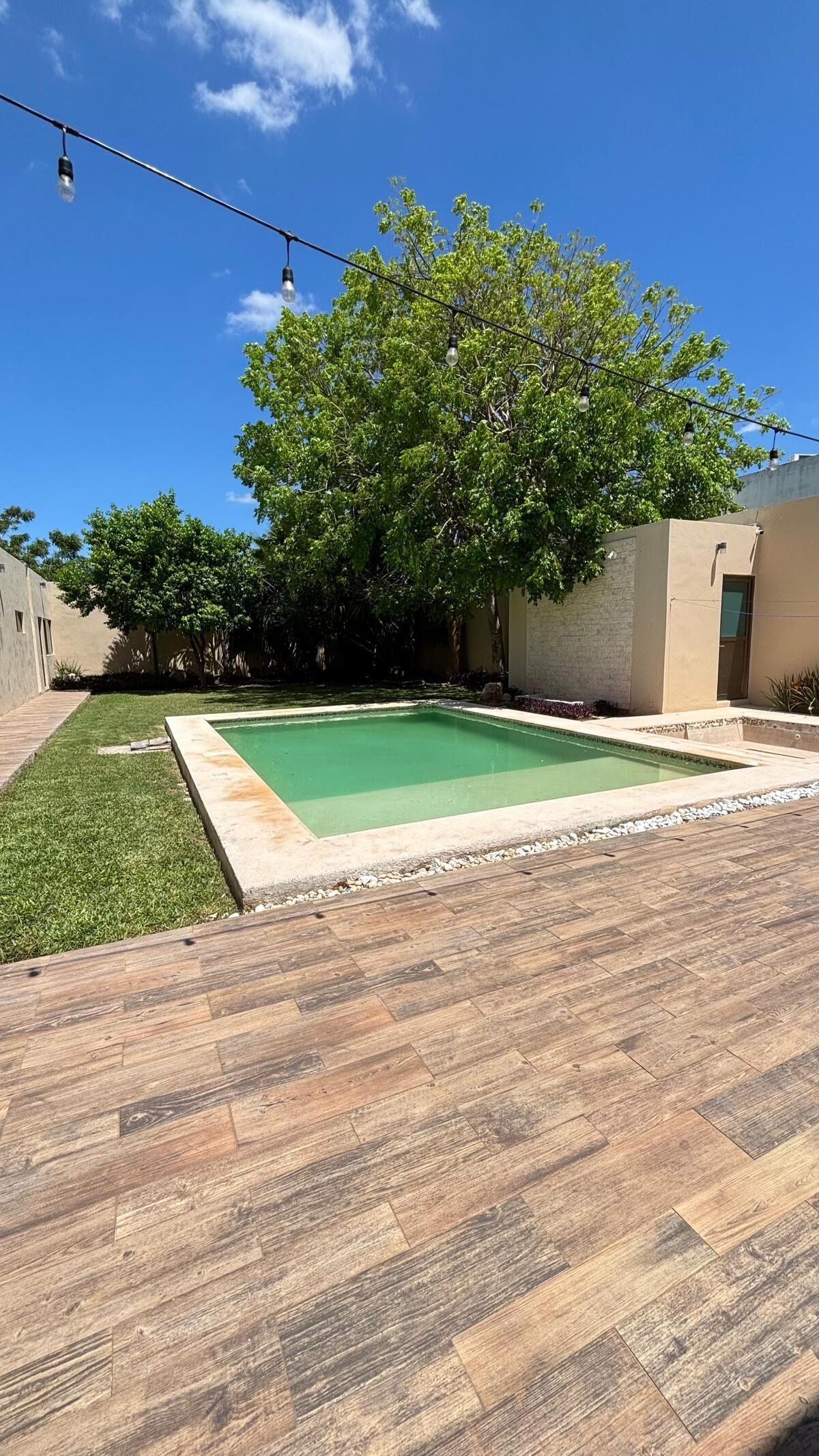 21 de 25: alberca y jardin