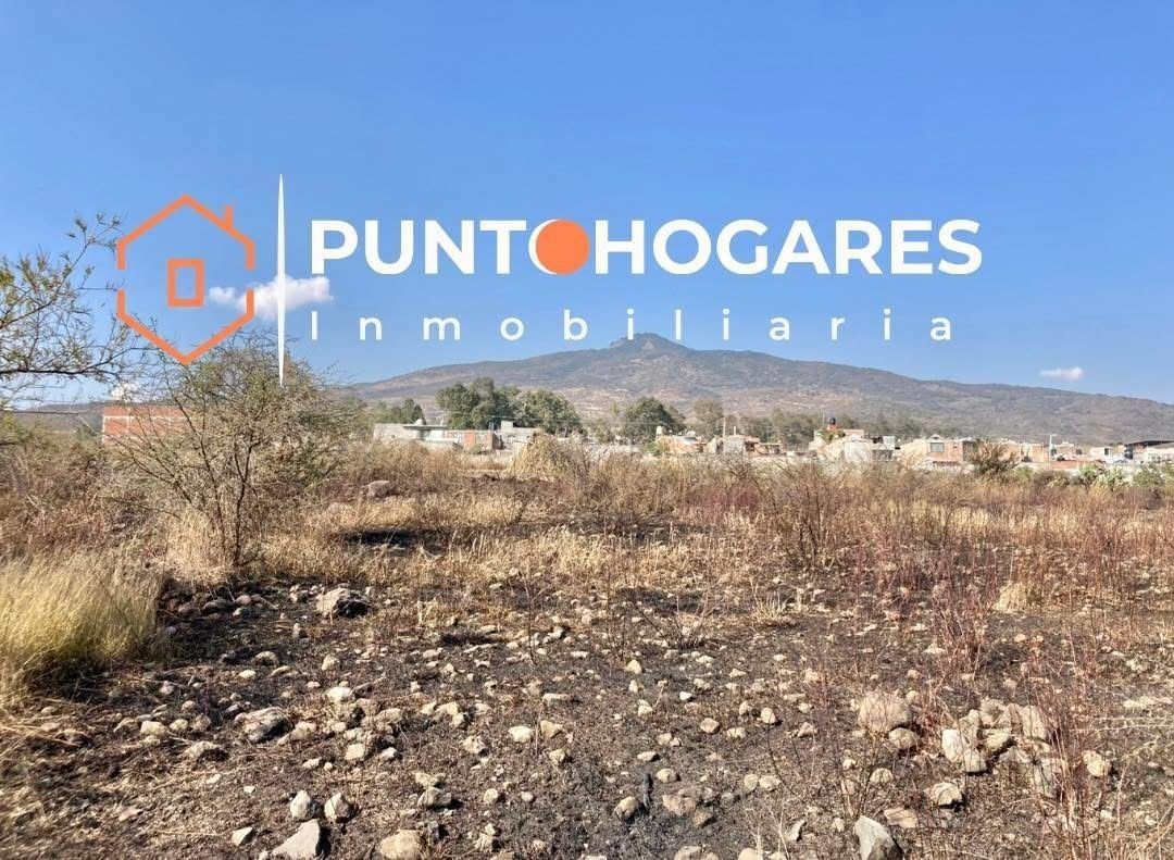 Imagen 4 de 5