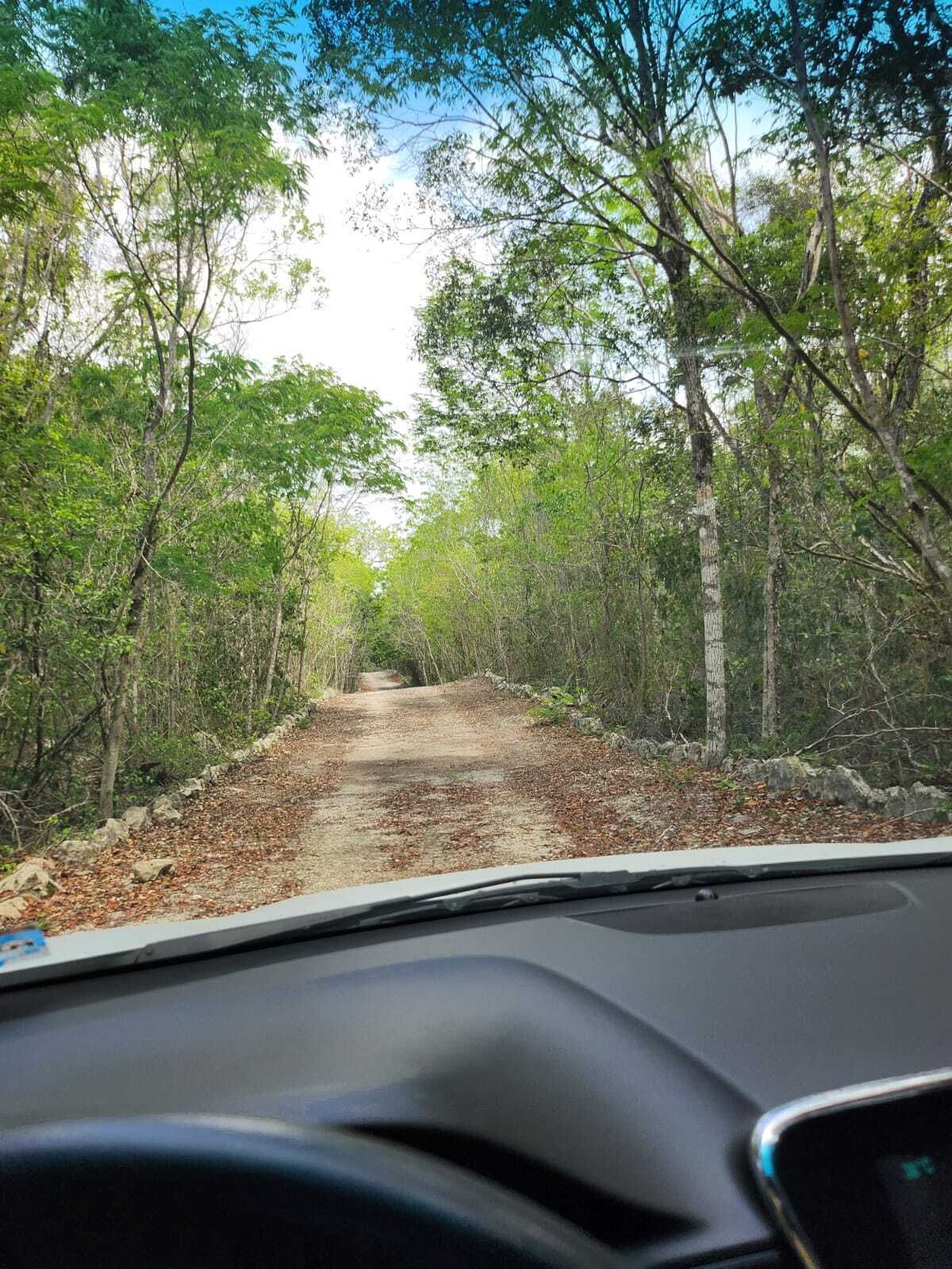 2 de 8: Frente del lote