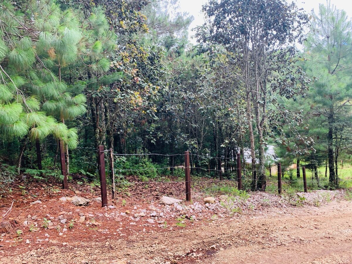 4 de 5