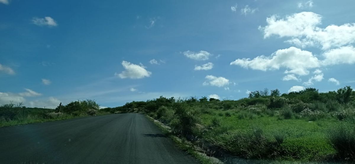 7 de 19