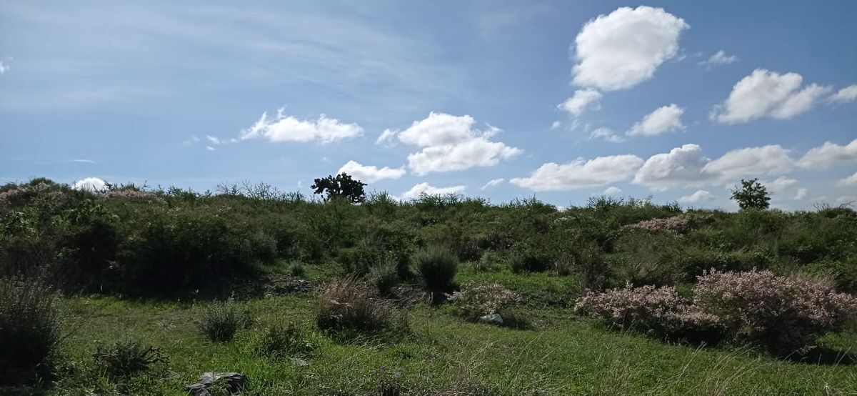 9 de 19