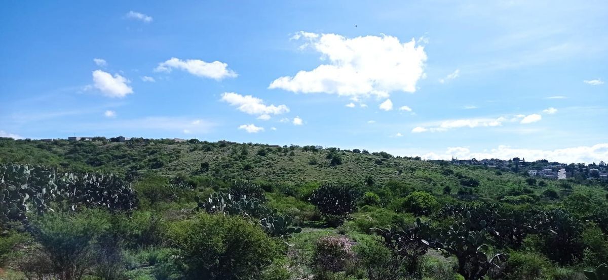 10 de 19