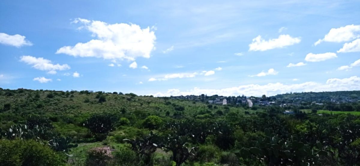 11 de 19