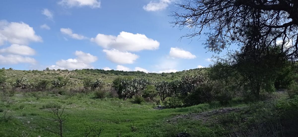 13 de 19