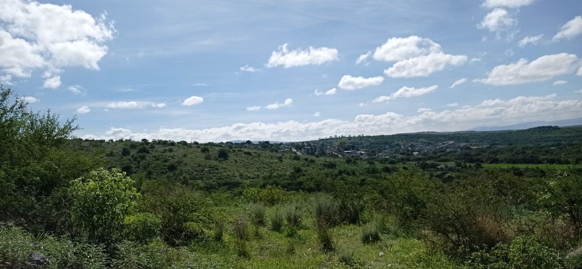 14 de 19