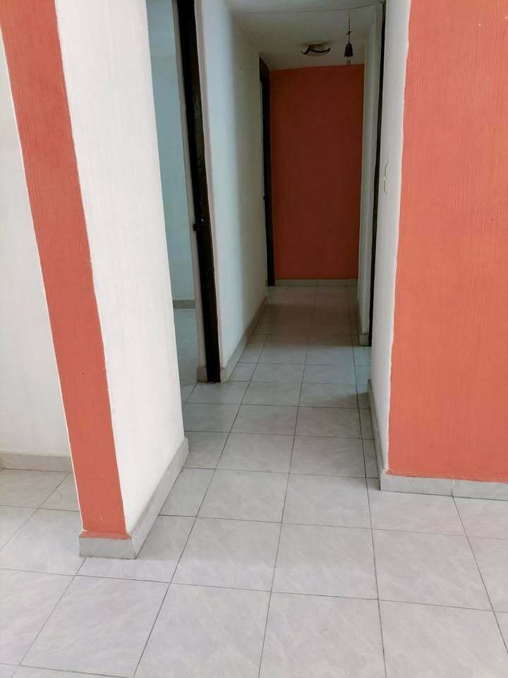 5 de 11