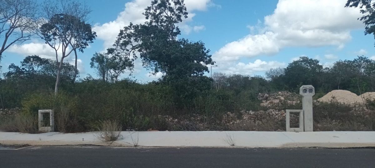 5 de 10