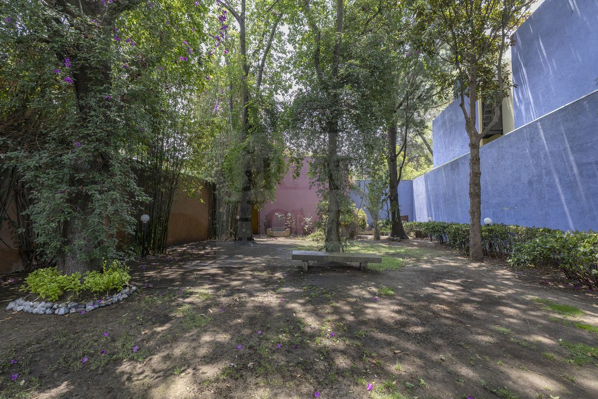 26 de 28: Gran jardín arbolado