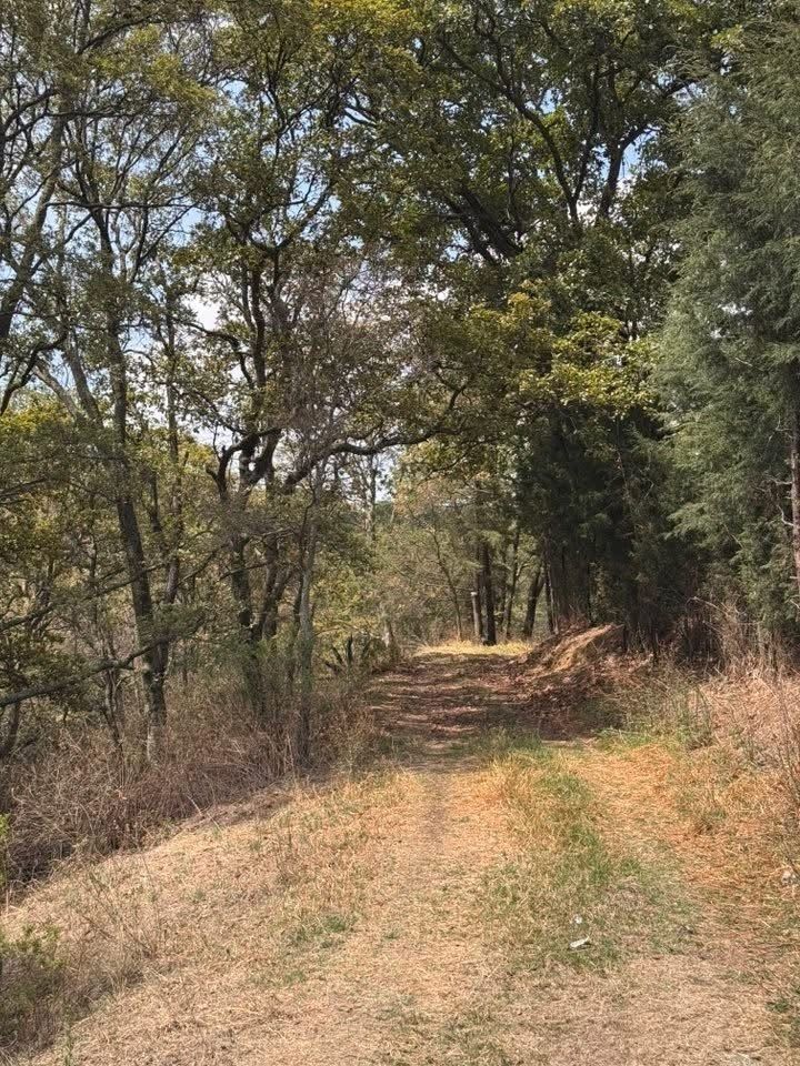 3 of 6