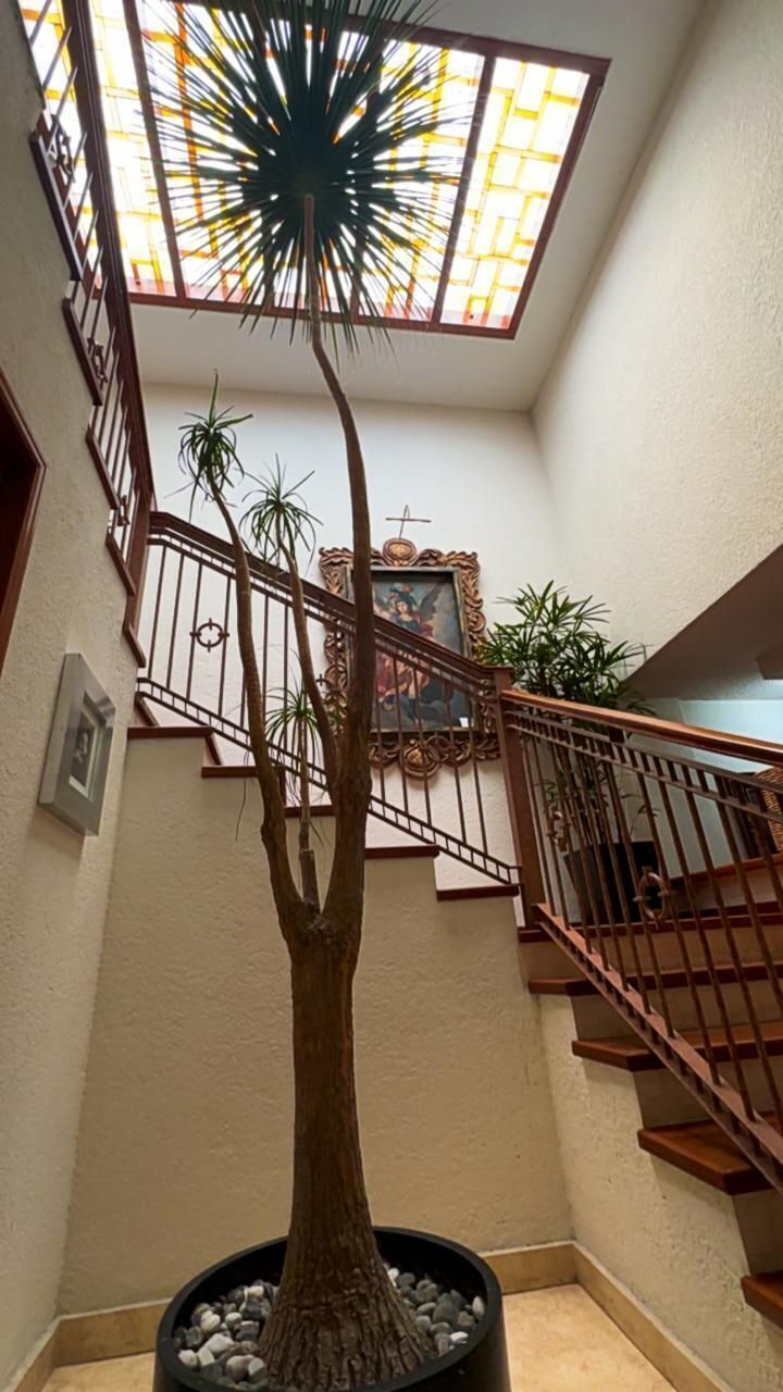 5 de 30