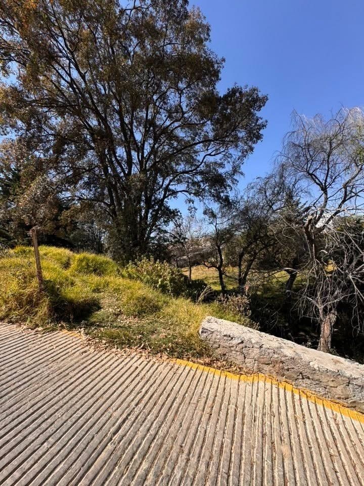 5 de 5