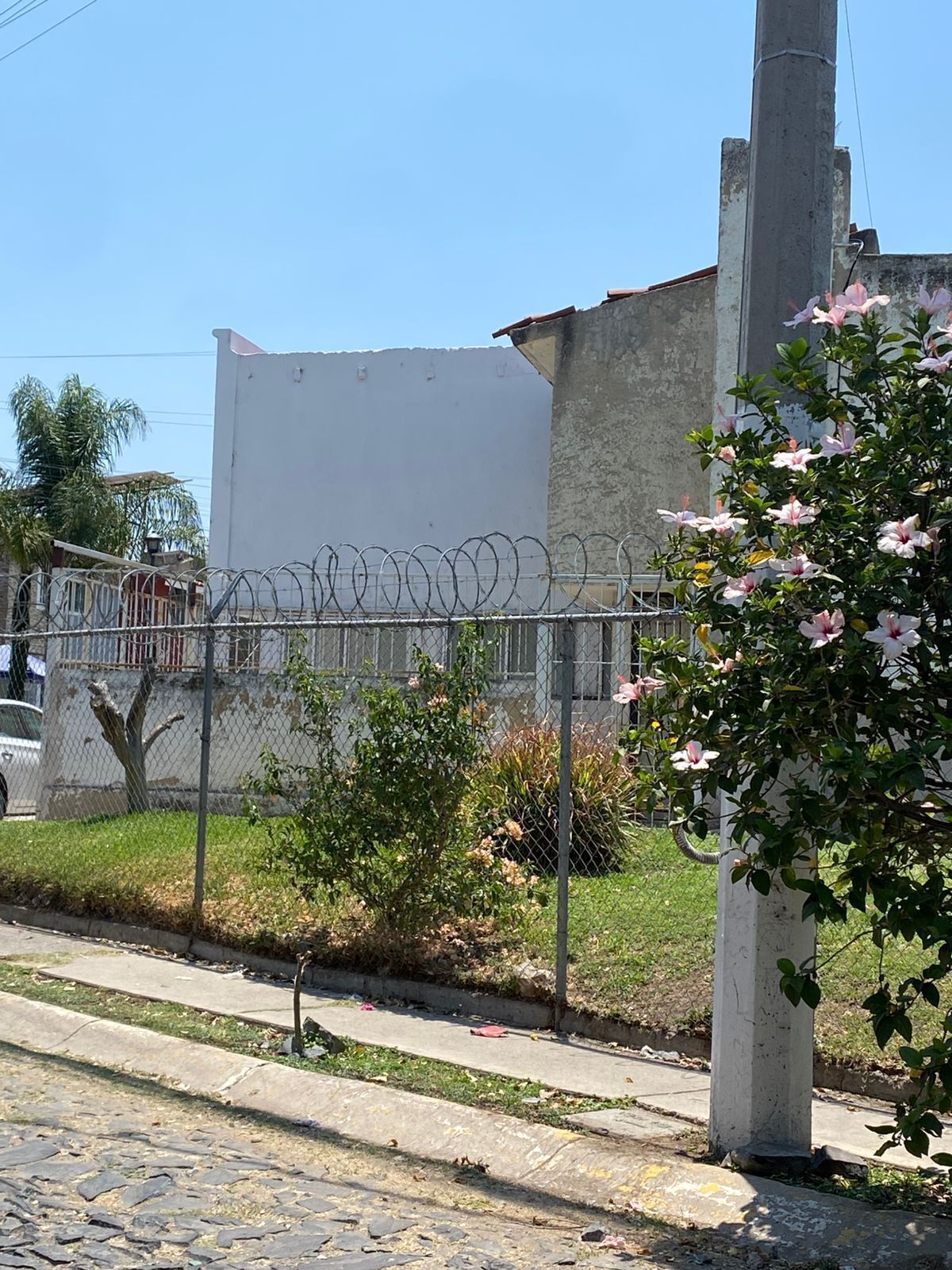23 de 27