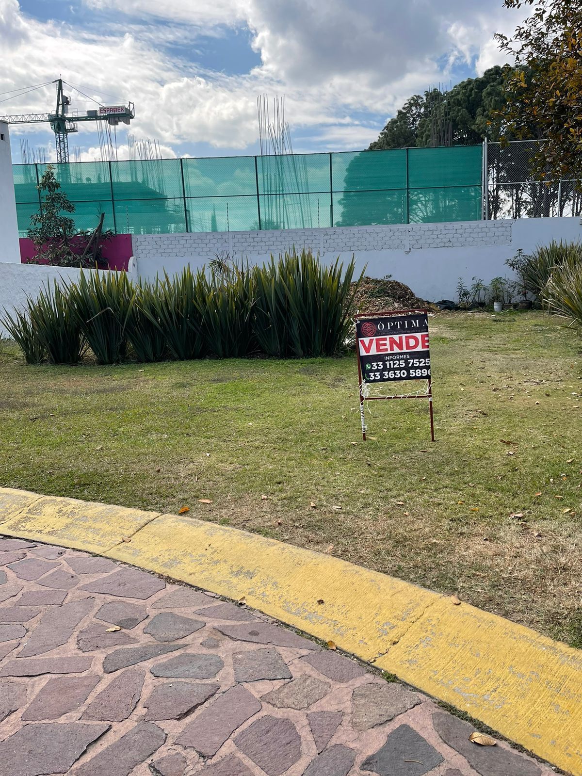 5 de 13