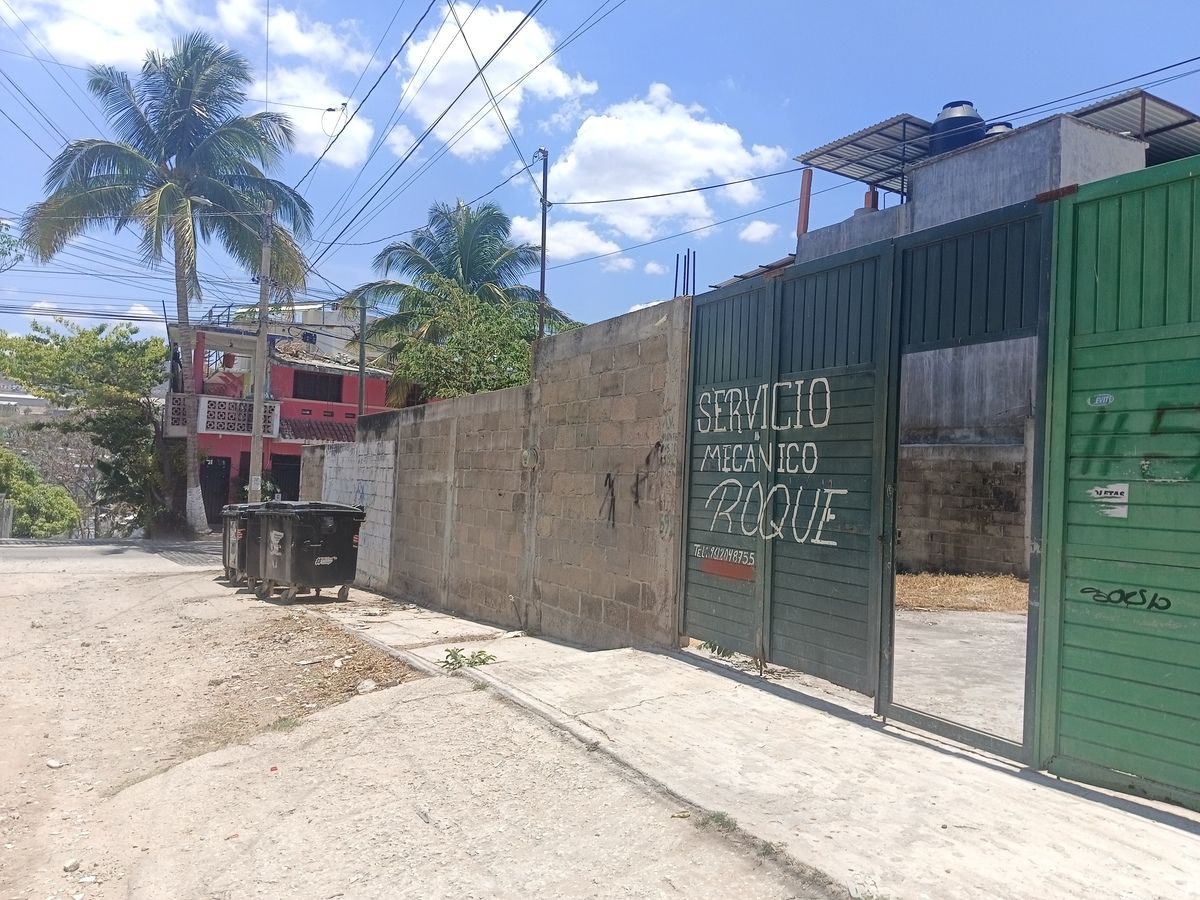 5 de 11
