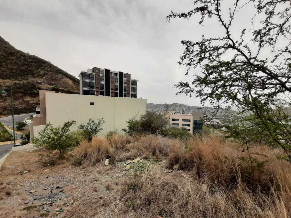 5 de 12