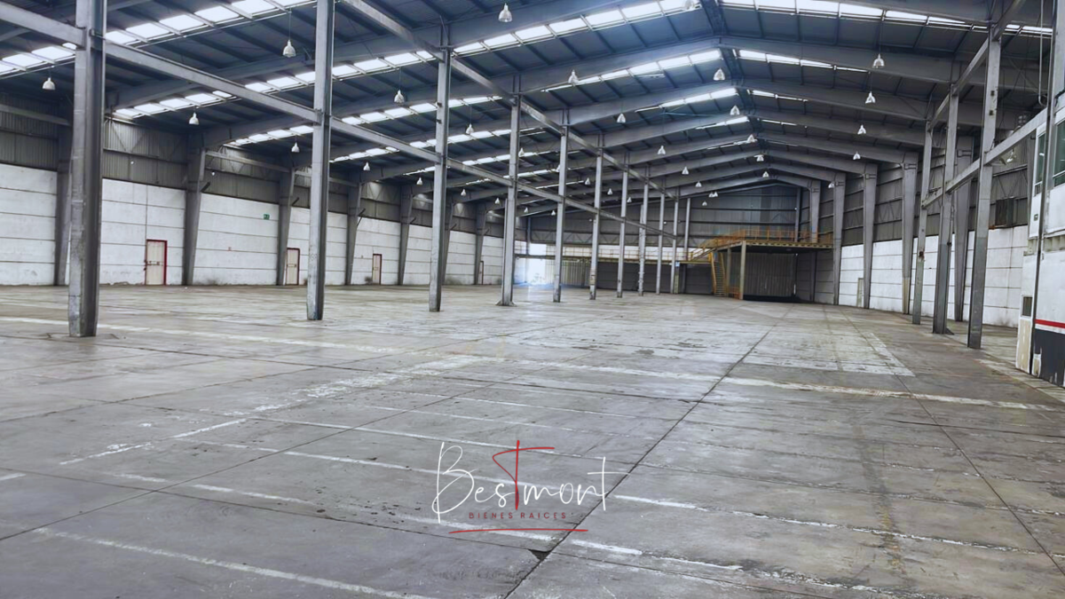 2 de 25: Interior nave