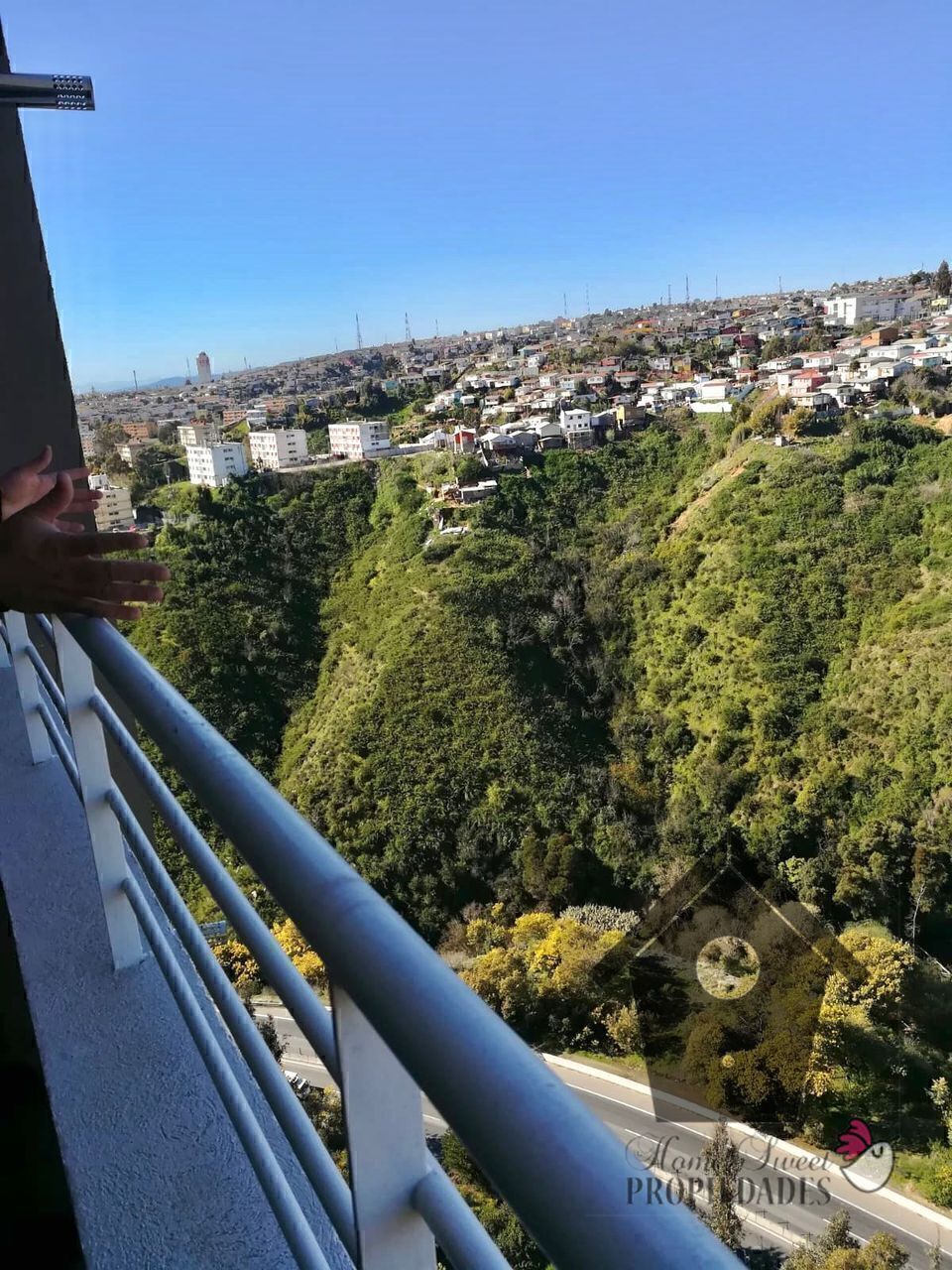 3 de 19