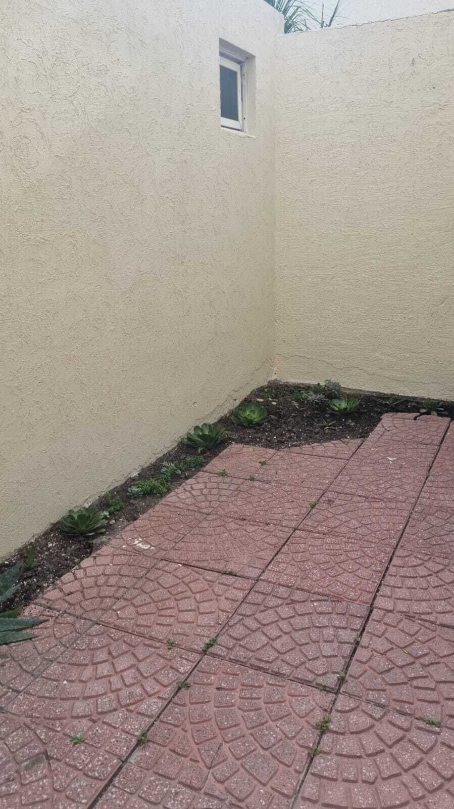 5 de 12