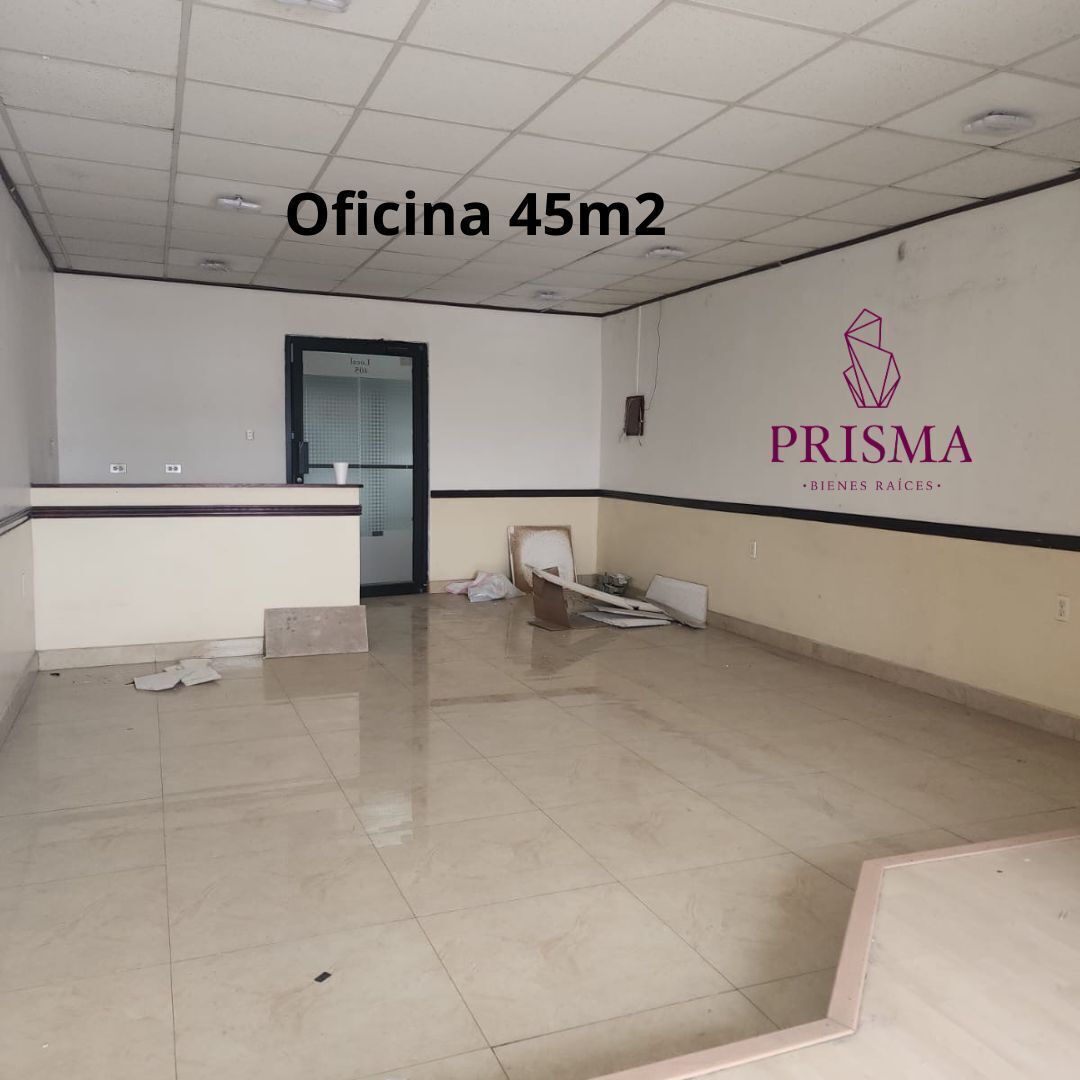 5 de 24