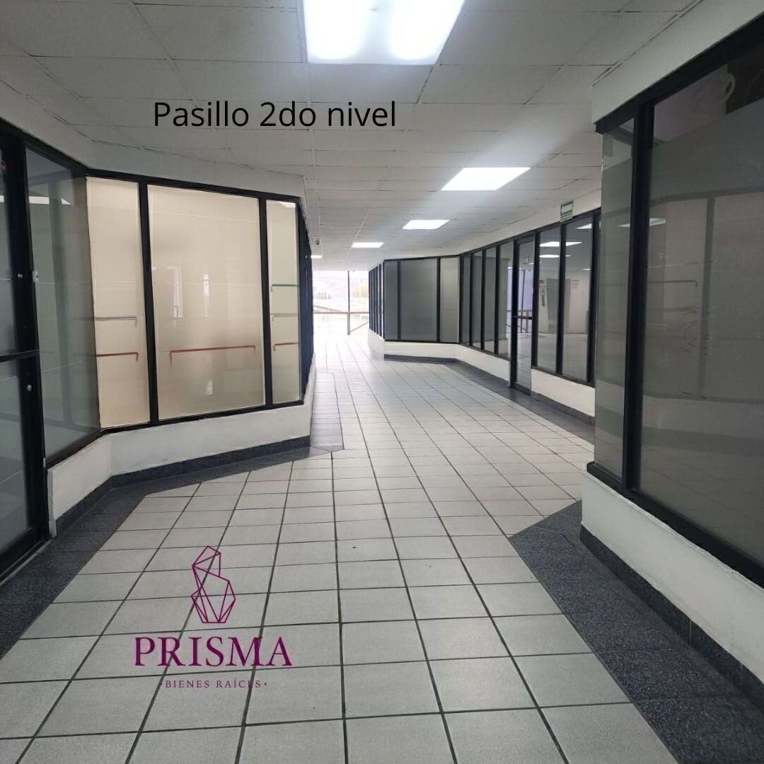 3 de 24